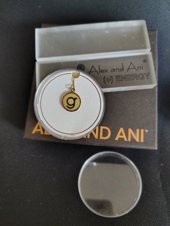 Alex and Ani Jewelry - Alex and Ani 14kt Sterling Silver Initial G Charm 910